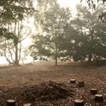 First mist March 2012