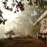 First mist March 2012