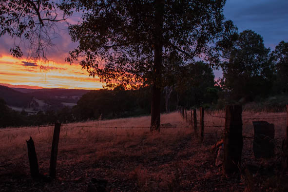 sunset image
