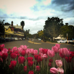 Nannup