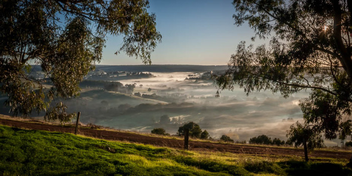 Mist at the bottom of the valley