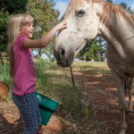 animal feeding nov13-4981