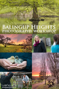 venture_photo_balingup_workshop_poster_2015_520px