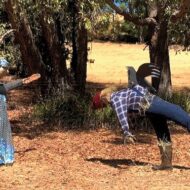 Fabulous new beginnings…